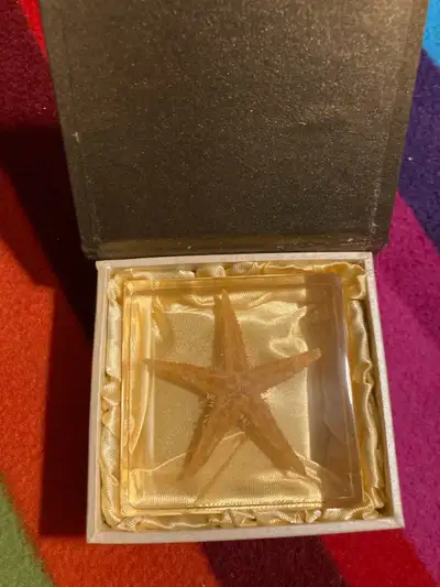 star fish mounted collectors item, View more