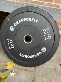 25lb weight plates