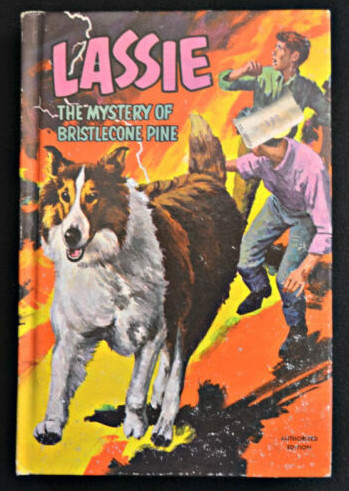 Vintage/Rare "Lassie" (T.V. series) Items-All items-$38.00 in Arts & Collectibles in City of Halifax - Image 3