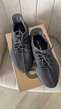 Yeezy Non-Reflective 9.5