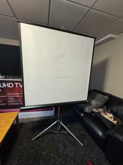 50” Da—Lite projector screen, perfect condition, includes carrying case.