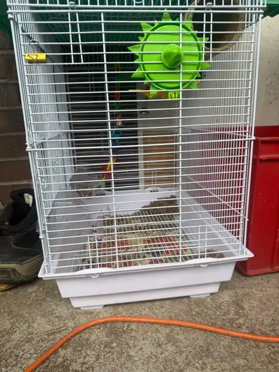 bird cage for sale , View more