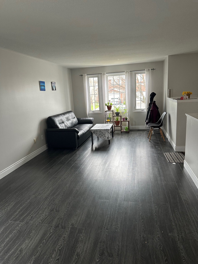 One room available on sharing basses for girls/boys/couples  in Short Term Rentals in Kingston - Image 2