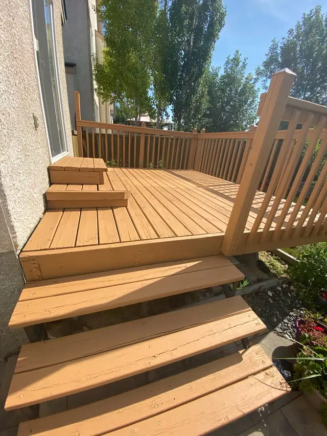 Affordable painter62863224485889123