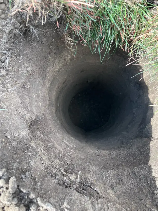 Post Holes 519876614784952321