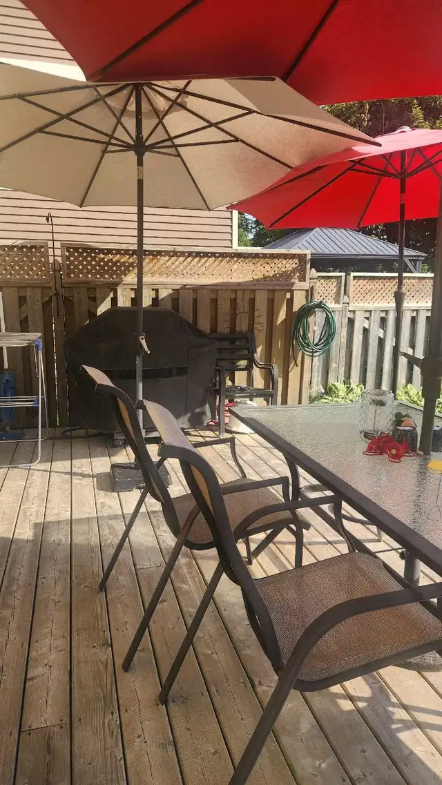 Room for Rent!!! in Room Rentals & Roommates in Ottawa - Image 3