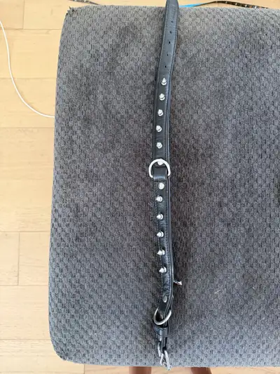Leather dog collar , View more