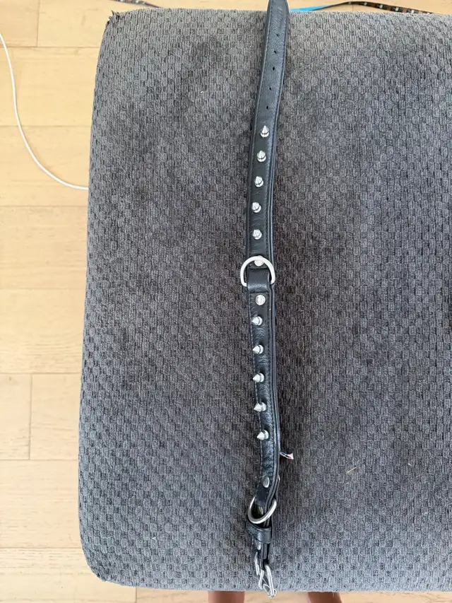 Leather dog collar  in Accessories in St. Catharines - Image 2