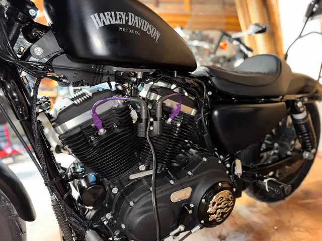 Harley Davidson in Street, Cruisers & Choppers in Kamloops - Image 5