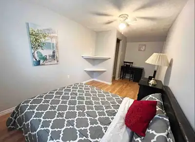 1 Bed 1 Bath
