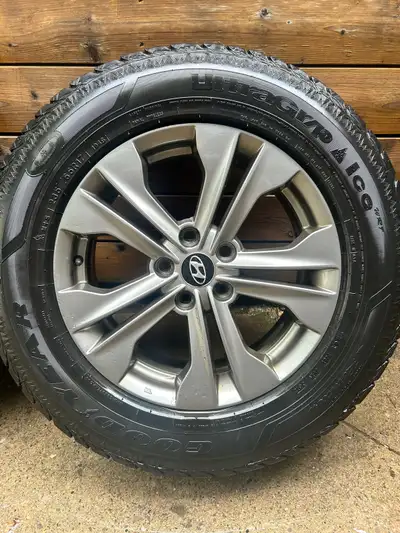 Set of 4 winter/snow tires with Hyundai rims. Were used for a Santa Fe and still have decent tread....