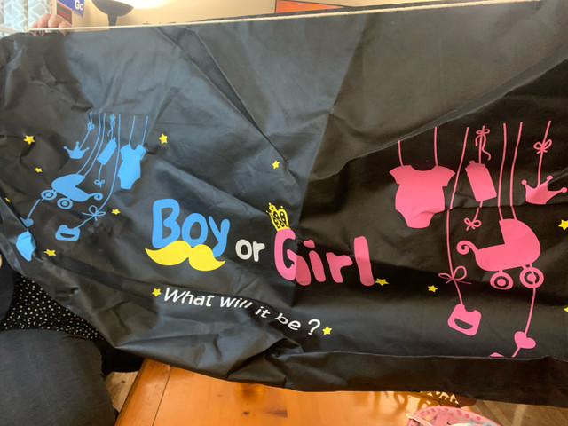 Gender Reveal Items in Other in Kingston