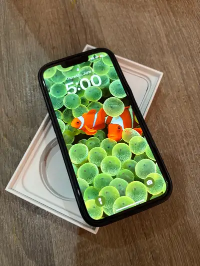 iPhone 13 with 87% battery health , View more