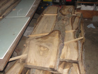 Black walnut ,  live edge slabs,and large rounds
