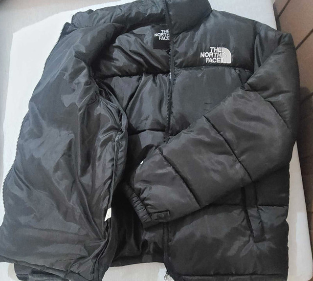 Rep North Face 700 Puffer Jacket  in Men's in Mississauga / Peel Region
