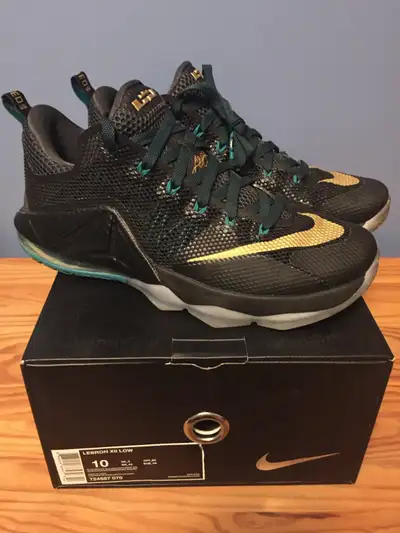 Lebron XII Low- Size 10, View more