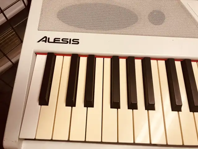 Alesis Recital 88 Keyboard Digital Piano with stand $200 in Pianos & Keyboards in City of Toronto - Image 4