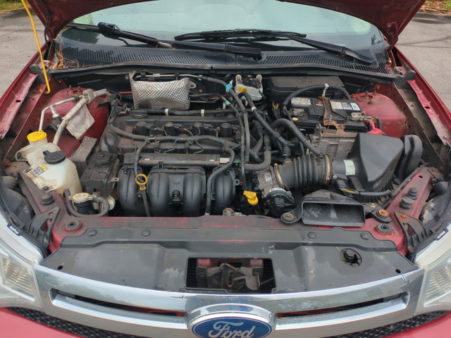 2011 Ford Focus SE (on road) for sale in Cars & Trucks in Ottawa - Image 2