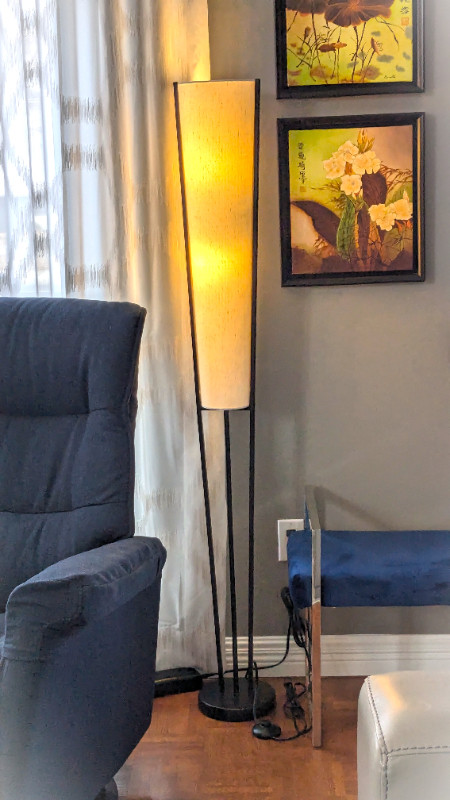 ÉLÉGANTE LAMPE SUR PIED DE STYLE CONTEMPORAIN FAIT AU CANADA dans Éclairage intérieur et plafonniers  à Longueuil/Rive Sud - Image 2