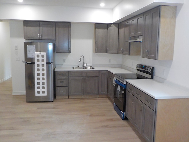 Newly Renovated 2-Bedroom Apartment in Long Term Rentals in Belleville