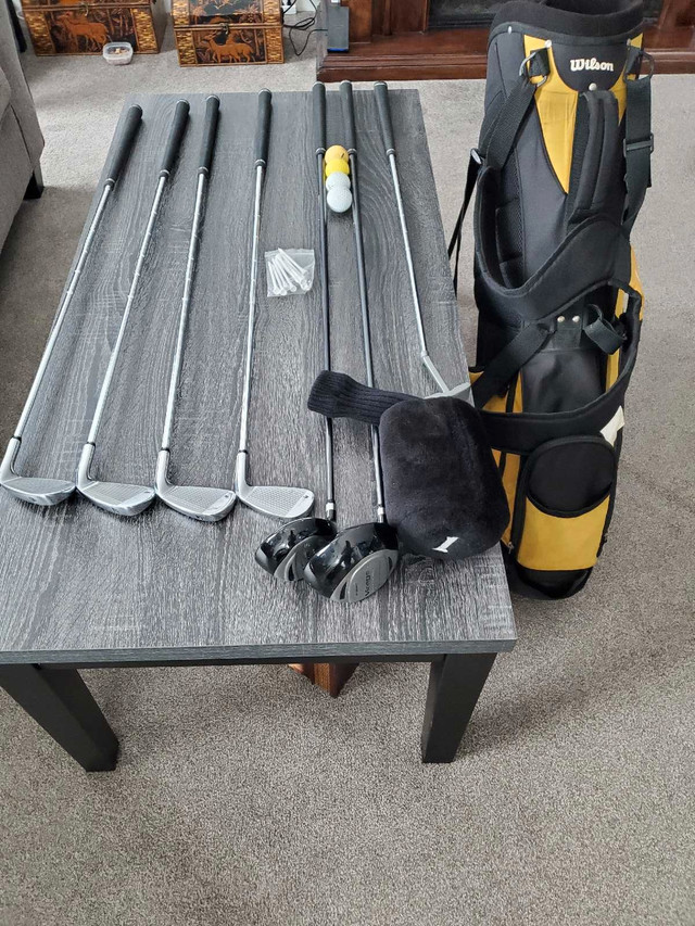 Left hand Golf clubs with bag in Golf in Lethbridge - Image 2