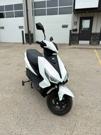 Gio E-Scooter/Moped