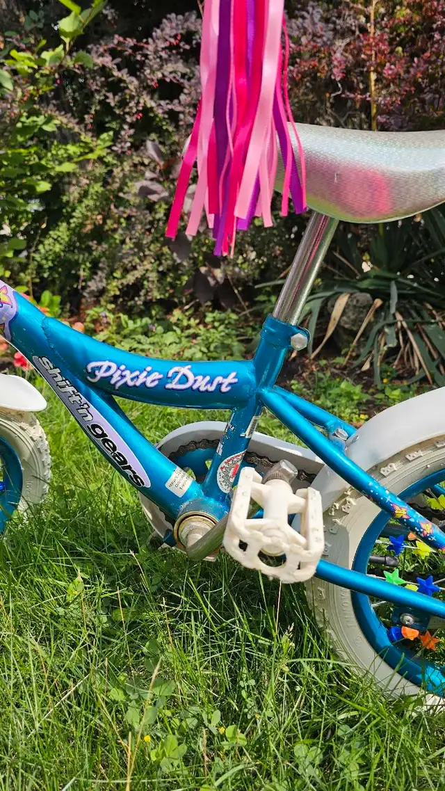 Shimmer and Shine Bike63654759247745122