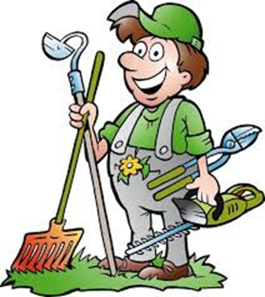 ***20% OFF LAST MINUTE FALL CLEANUP - LIVELY LAWN 10+YRS***, View more