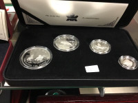 Arctic   fox silver       set