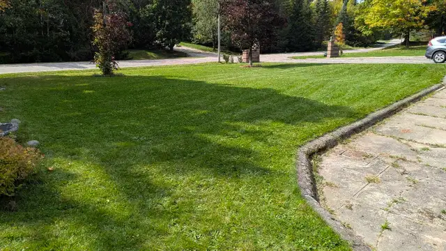 Ray's Lawn Mowing530755412684318722