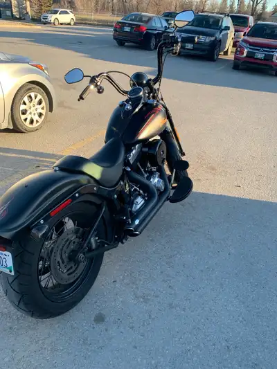 2009 Harley-Davidson, softail Engine: 96 cubic inch Upgrades Stage 1 exhaust and air filter Vance &...