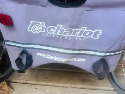 chariot Cougar 2 Double stroller with skis, bike and jogger, View more