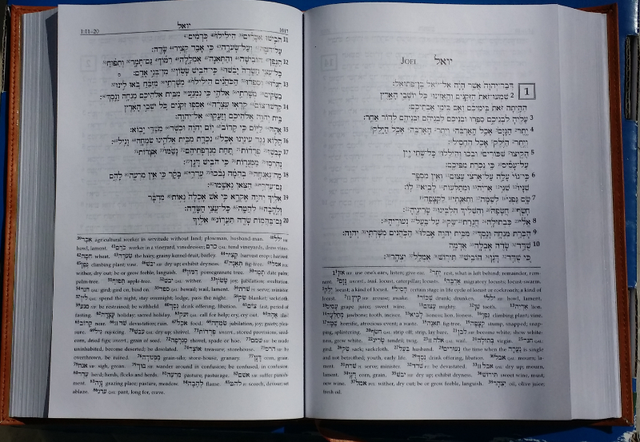 A Reader's Hebrew Bible Imitation Leather in Textbooks in Calgary - Image 6