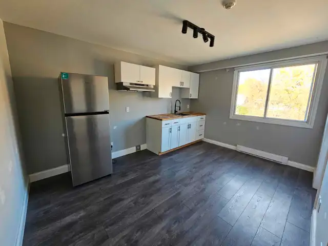 All Inclusive 1 Bedroom Apartment in Fort-Coulonge in Long Term Rentals in Pembroke - Image 4
