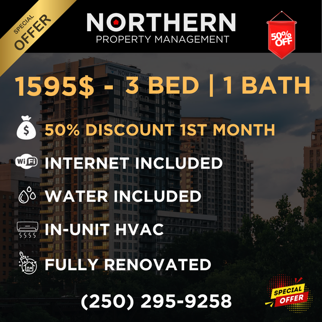 Renovated 3 Bedroom Apartment