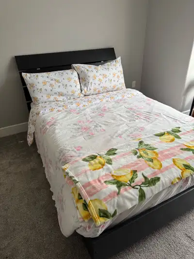 Double platform bed, lightly used. No longer need l, down sizing household item. Solid bed no issue...