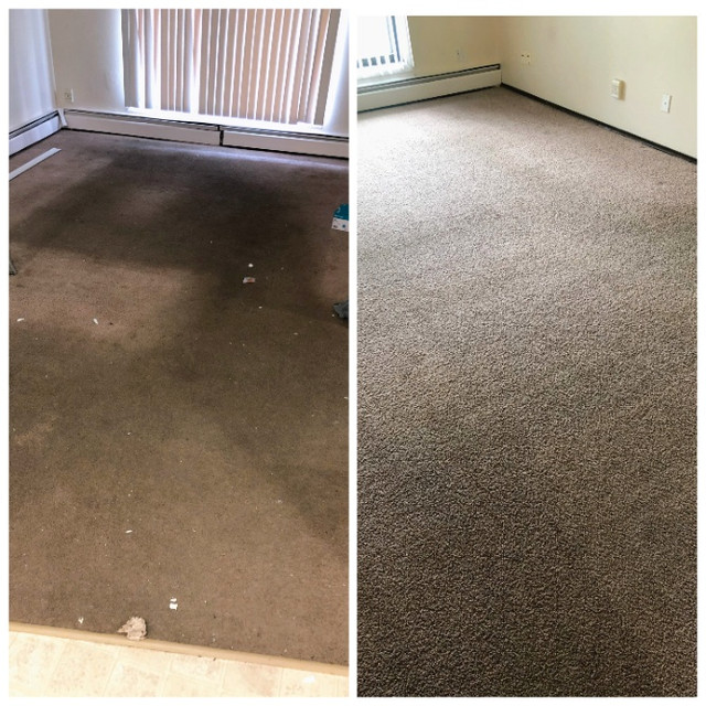 Professional Truckmount Carpet Cleaning  in Cleaners & Cleaning in Edmonton - Image 3