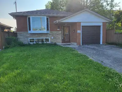 1 available  in a 3 bedroom basement apt. in Scarborough