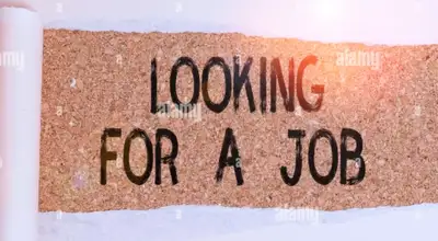 Hi I am looking for full time or part job general labor job. Experience: I have worked as helper for...