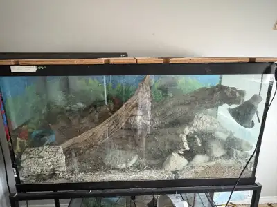 Reptile Tanks- multiple sizes , View more