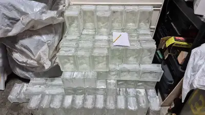 160+ PC Glass Block Set - Perfect for Home Bar or Renovation, View more