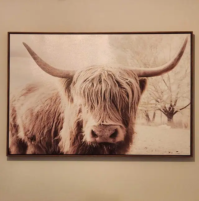 Canvas Wall Art