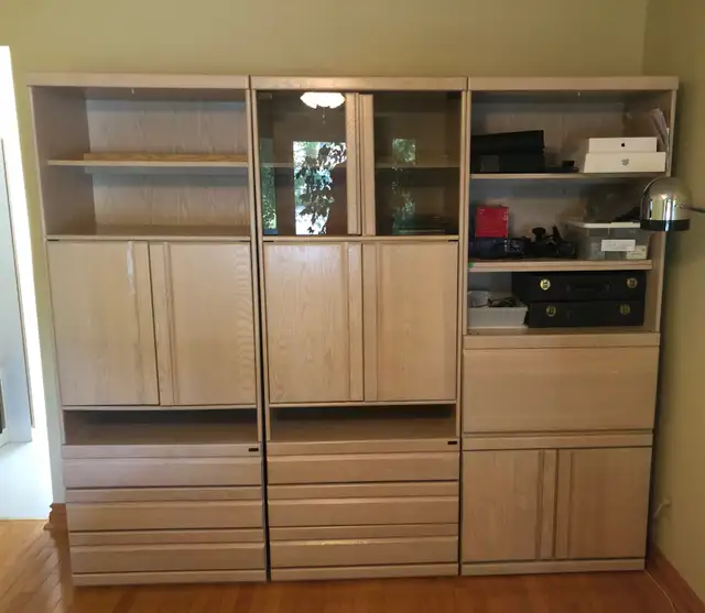 Elegant wall unit in Bookcases & Shelving Units in Markham / York Region - Image 3