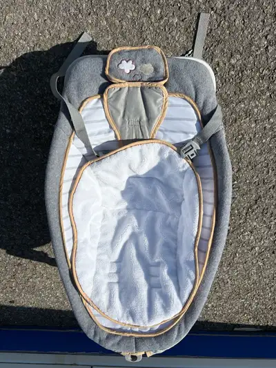 Ingenuity Baby Bouncer, View more