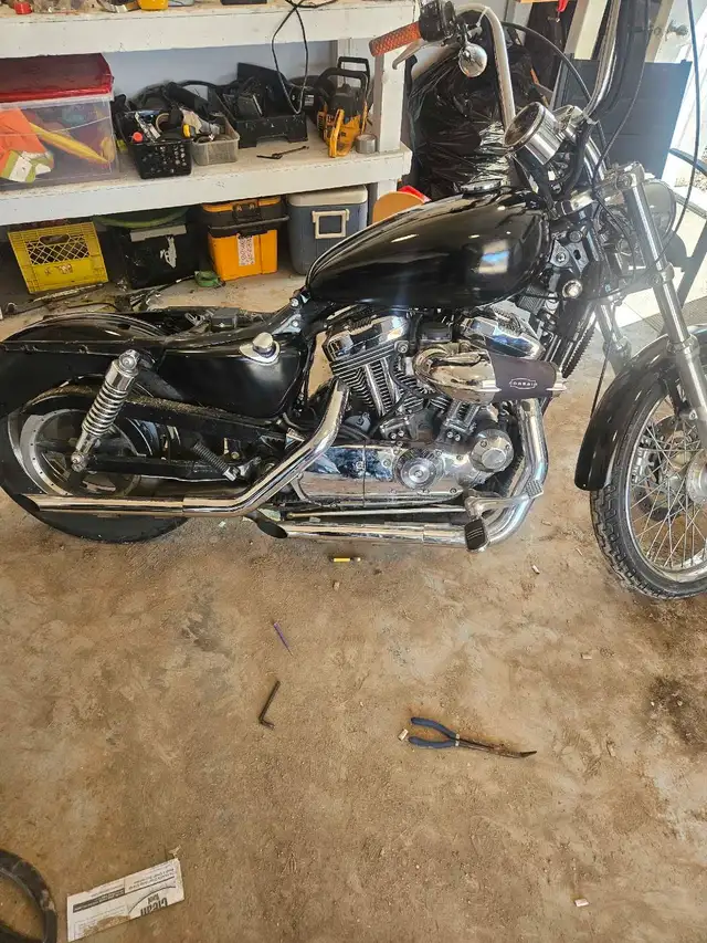 2004 sportster in Street, Cruisers & Choppers in Moose Jaw - Image 4