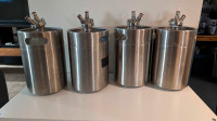 Stainless steel 5 L mini kegs 