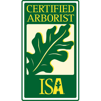 Certified Arborist Tree Services in Lawn, Tree Maintenance & Eavestrough in Peterborough