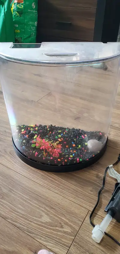 Secondhand bowfront fish tank, View more