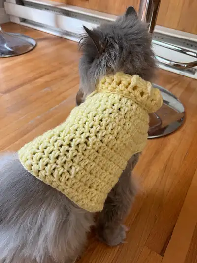 small dog/cat crochet shirt, View more