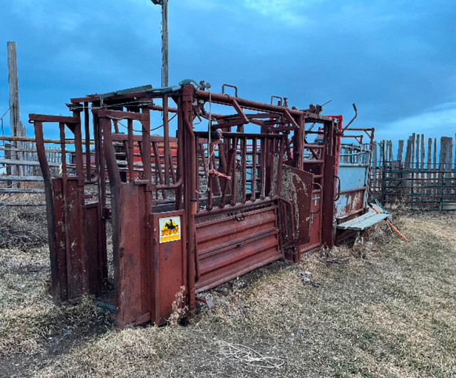 Cattle chute and crowding tub | Livestock | Calgary | Kijiji